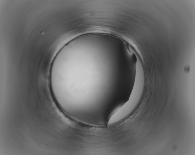 X0000091991379200709271439