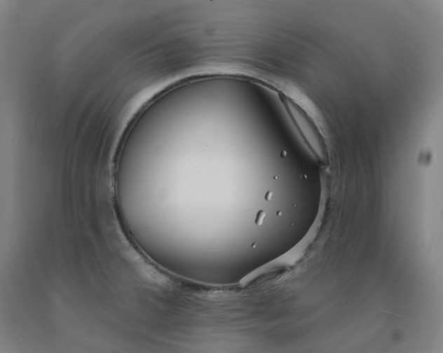 X0000091991380200709271439