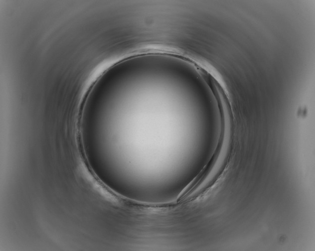 X0000091991381200709271439