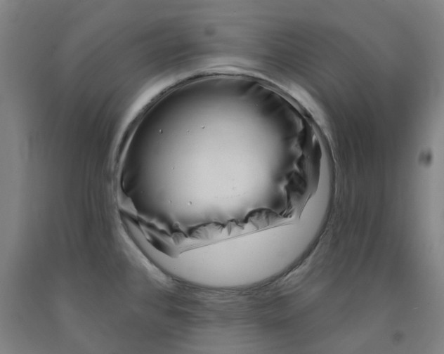 X0000091991384200709271439