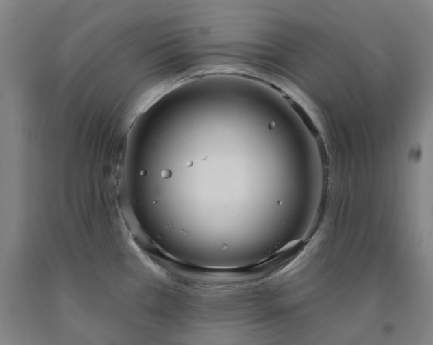 X0000091991385200709271439