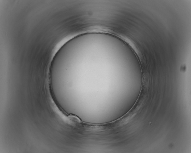 X0000091991387200709271439