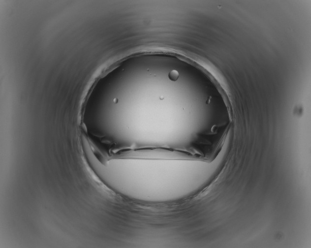 X0000091991388200709271439