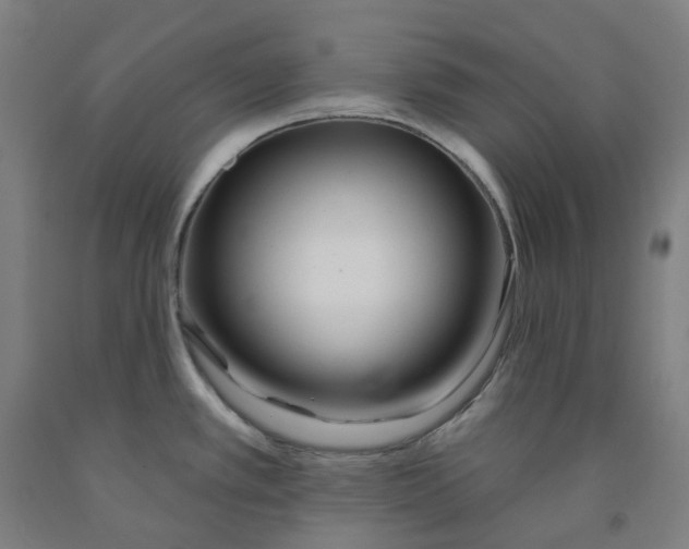 X0000091991389200709271439