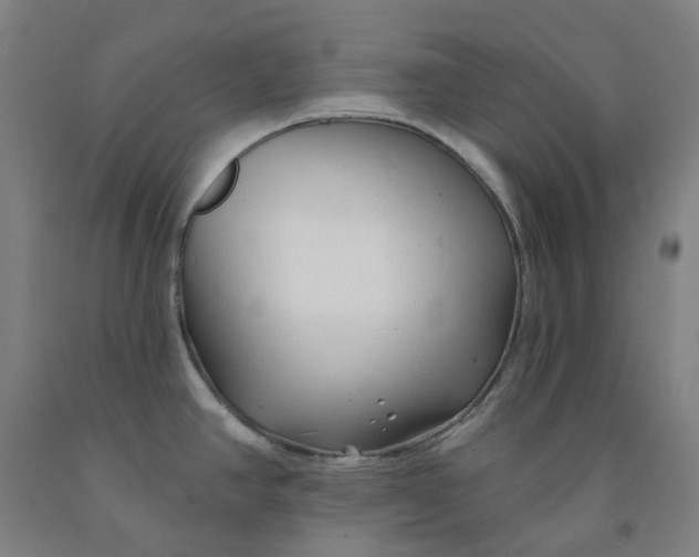 X0000091991390200709271439