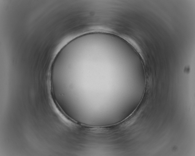 X0000091991391200709271439