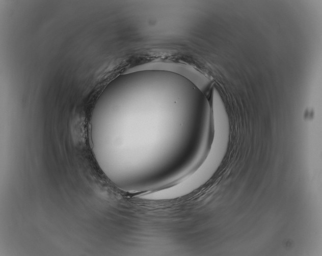 X0000091991394200709271438