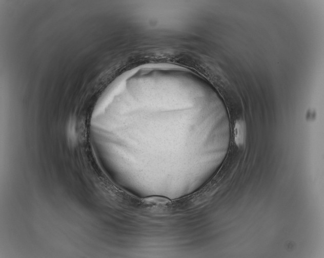 X0000091991395200709271438