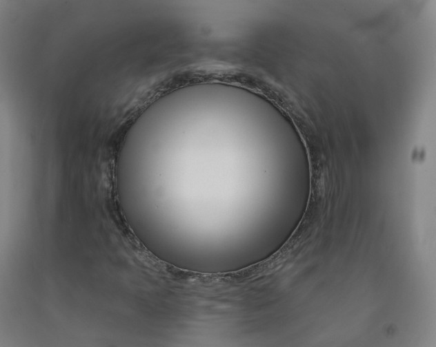 X0000091991397200709271438