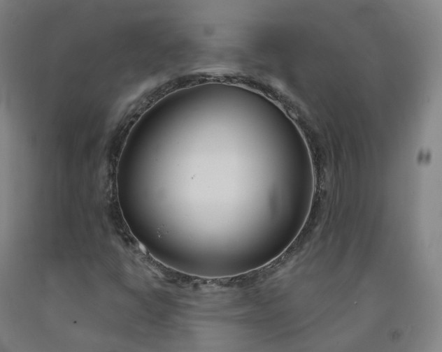 X0000091991398200709271438