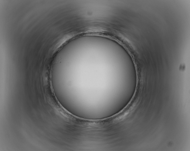 X0000091991401200709271438