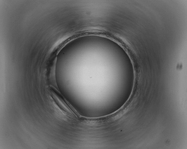 X0000091991402200709271438