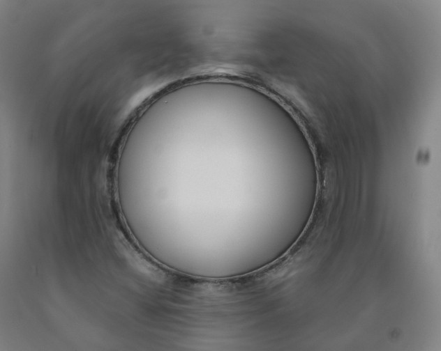 X0000091991404200709271438