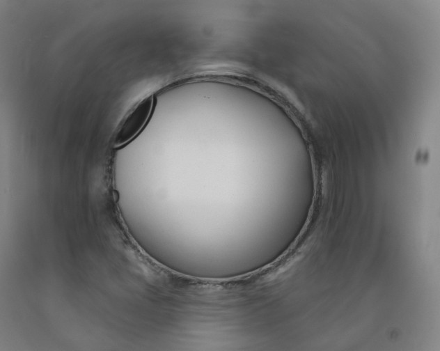 X0000091991405200709271438