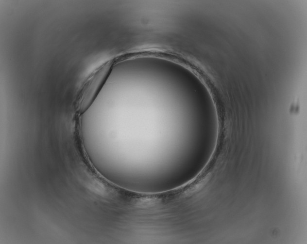 X0000091991406200709271438