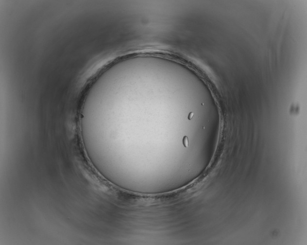 X0000091991407200709271438