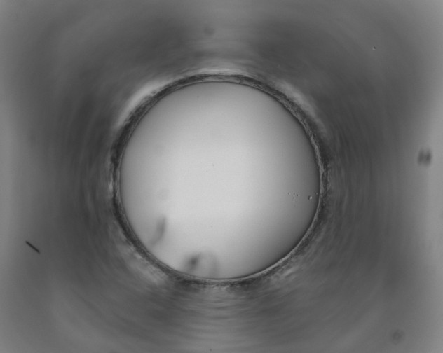 X0000091991408200709271438