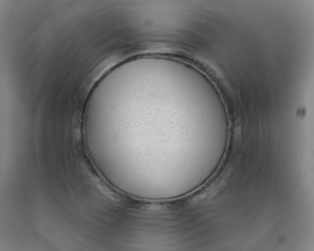 X0000091991409200709271438