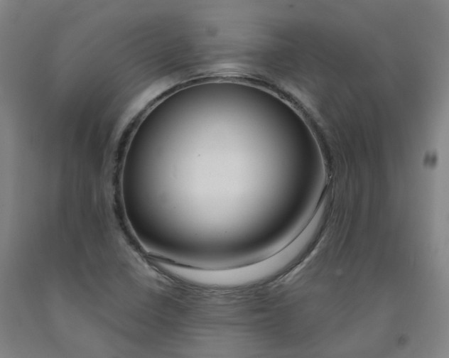 X0000091991410200709271438