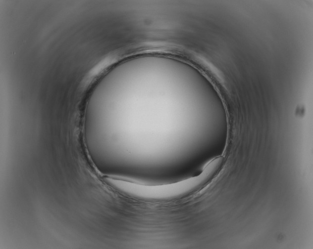 X0000091991411200709271438