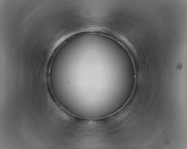 X0000091991412200709271438