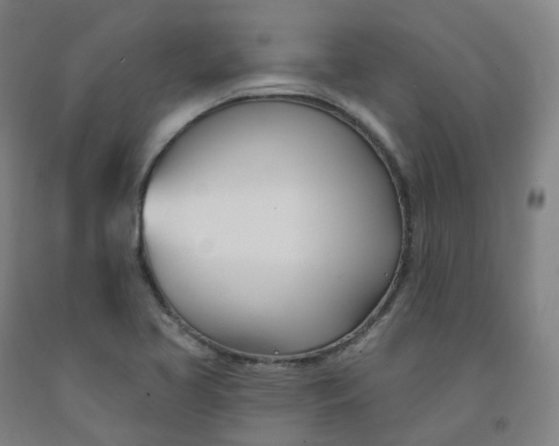 X0000091991413200709271438