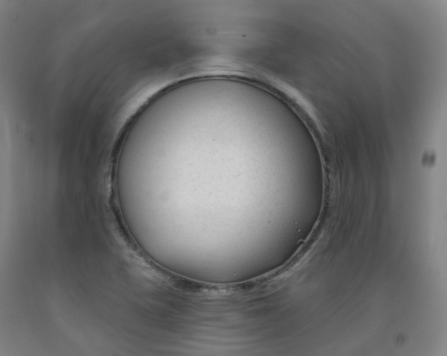 X0000091991415200709271438