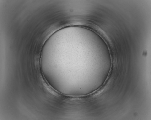 X0000091991417200709271438