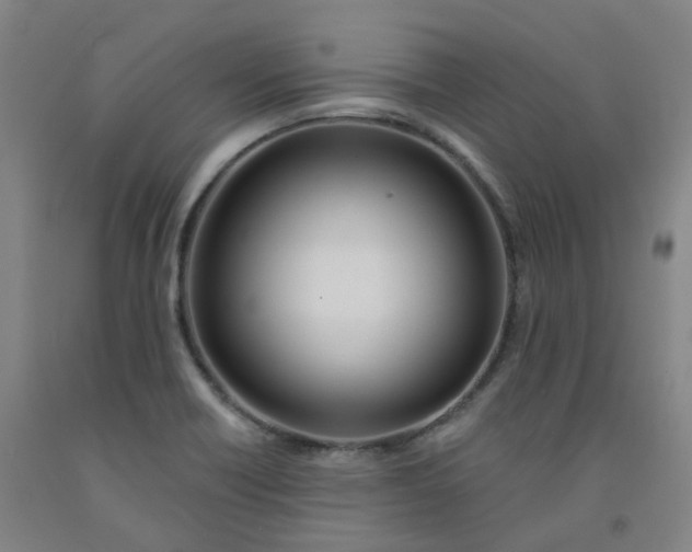 X0000091991418200709271438