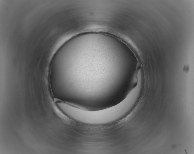 X0000091991421200709271438