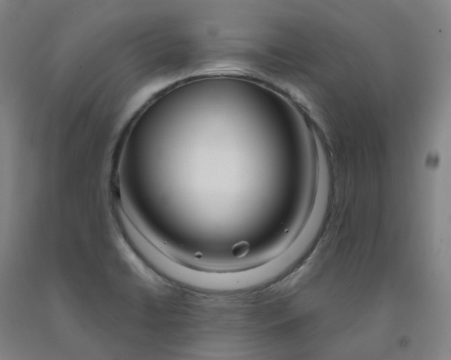 X0000091991422200709271438