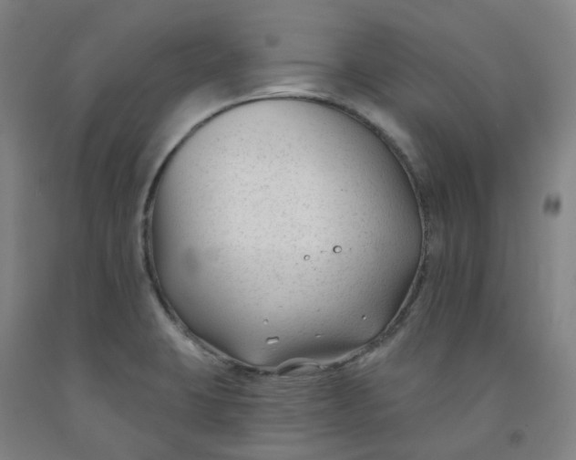 X0000091991423200709271438