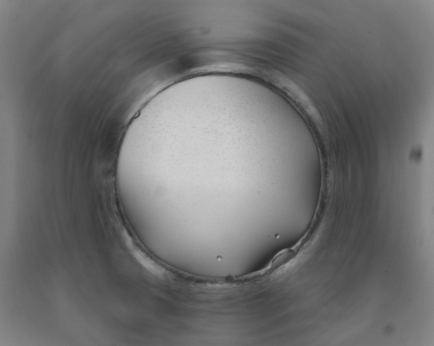 X0000091991425200709271438