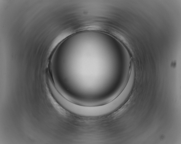 X0000091991426200709271438