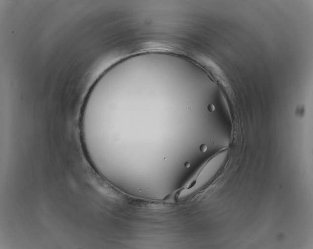 X0000091991427200709271438