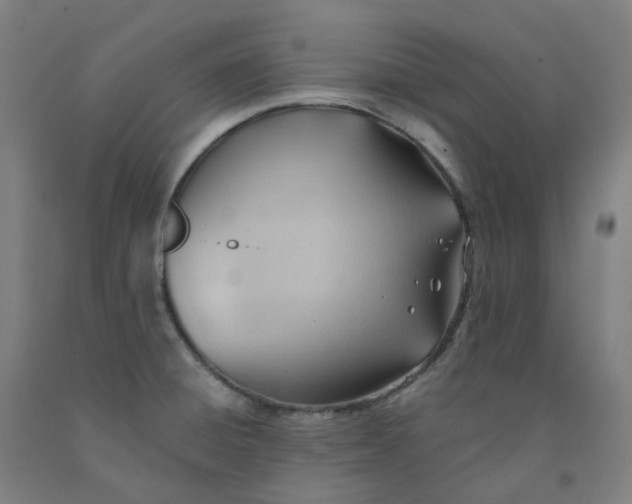 X0000091991428200709271438