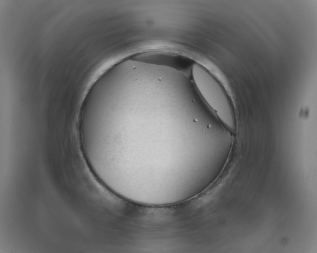 X0000091991429200709271438