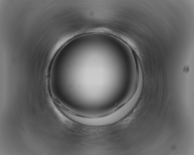 X0000091991430200709271438