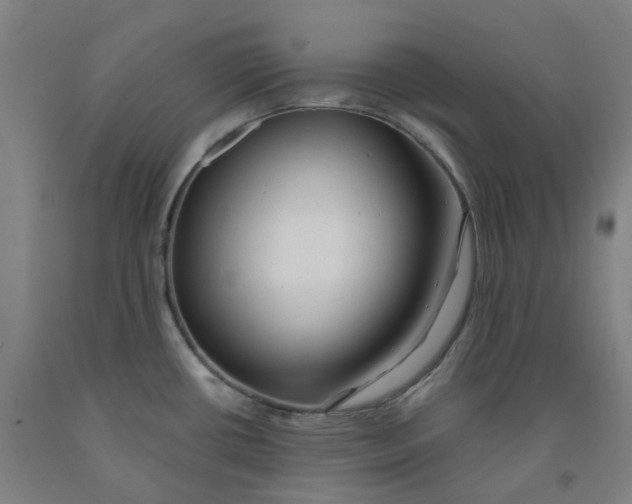 X0000091991434200709271438