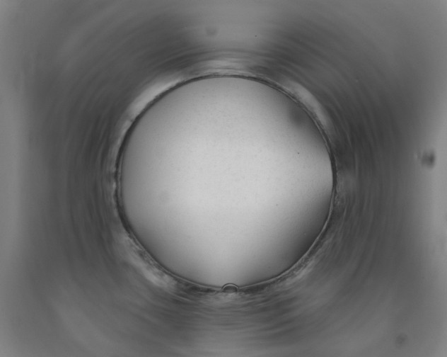 X0000091991435200709271438