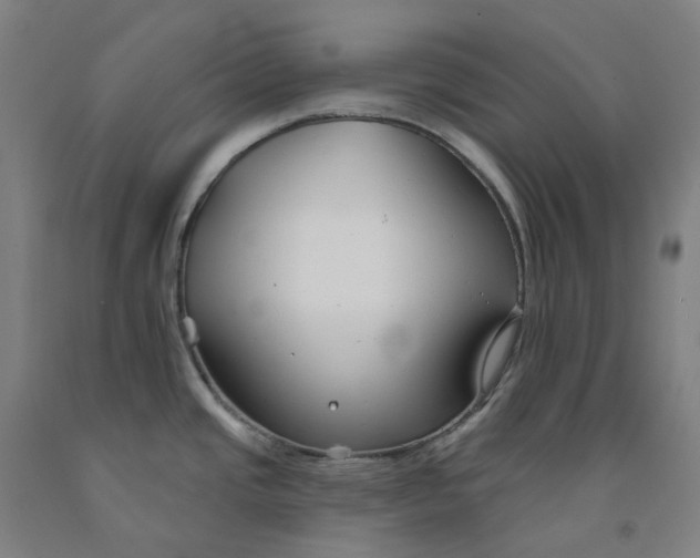 X0000091991437200709271439