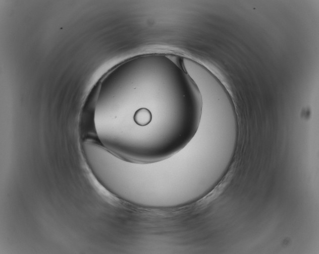 X0000091991438200709271439