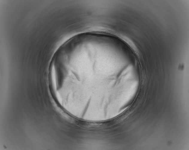 X0000091991439200709271439