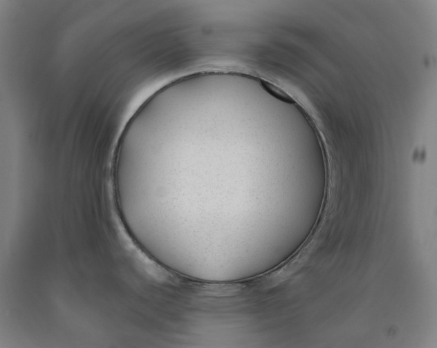 X0000091991440200709271439