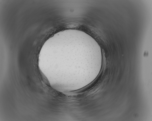 X0000091991441200709271438