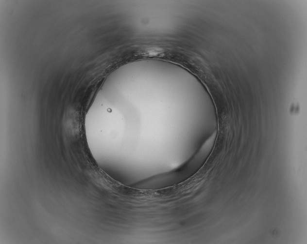 X0000091991442200709271438