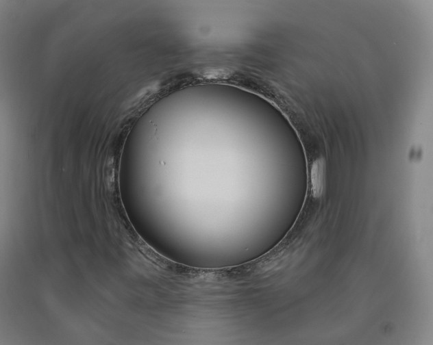 X0000091991443200709271438