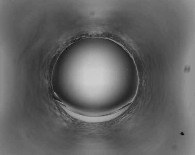 X0000091991445200709271438