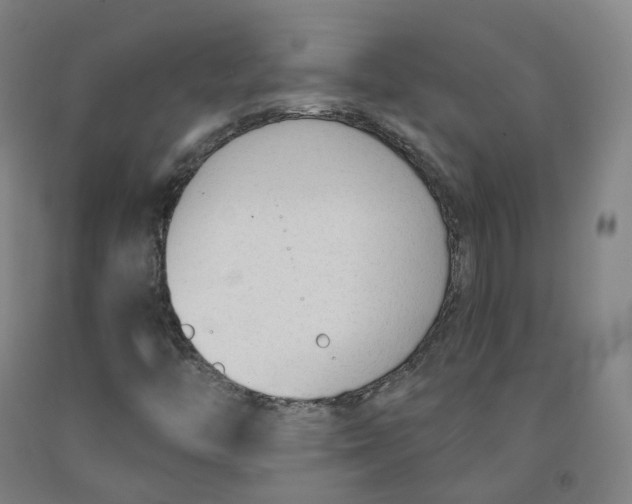 X0000091991446200709271438