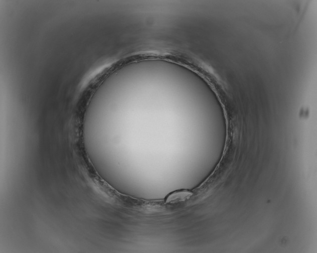 X0000091991448200709271438